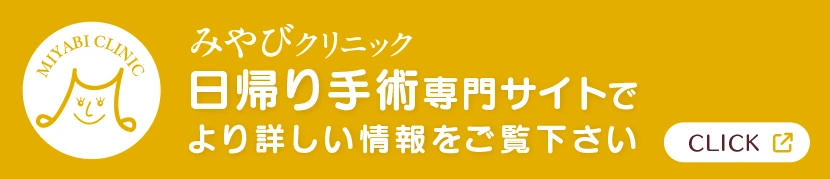 「日帰り手術専門サイト」でより詳しい情報をご覧下さい